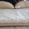 5 Pościel wełniana Camel z wełny wielbłądziej Jasny Light 180x200 + Podkład wełniany