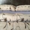 Posciel-Alpaka-Camel-Jasny-Rampicanti-160x200-240x200-37 Pościel z wełny Alpaki Alpina Camel Rampicanti 240x200 + Podkład wełniany