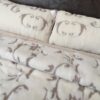 Pościel z wełny Camel Jasny + Kaszmir Szlachecki 160x200 + Materac wełniany